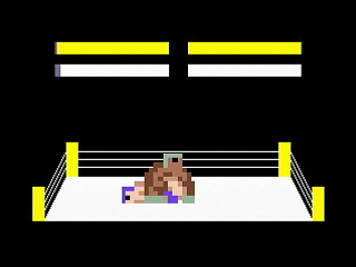 Pro-Wrestling by RURUN - Screenshot #2 Sega Saturn Game Basic - Pro-Wrestling by RURUN - Screenshot #2