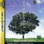 Sega Saturn Game - Mass Destruction ~Otousan ni mo Dekiru Soft~ (Japan) [T-18007G] - Cover
