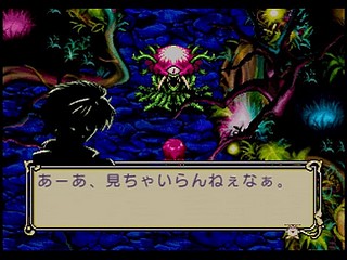 Sega Saturn Game - Mahou Kishi Rayearth (Shokai Gentei W Premium) (Japan) [GS-9018] - 魔法騎士　レイアース　（初回限定Ｗプレミアム） - Screenshot #36