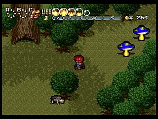 Sega Saturn Game - Shining Wisdom (Japan) [GS-9057] - シャイニング・ウィズダム - Screenshot #29